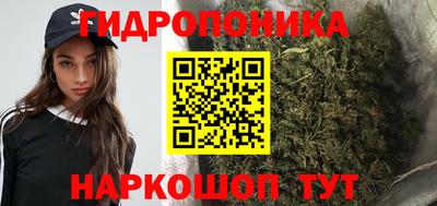 герыч Вышний Волочёк
